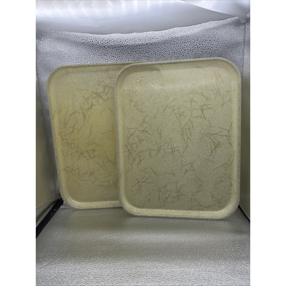 Mid Century Serving Trays Fiberglass Gold Thread String Confetti DON 14" x 18"